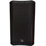 BAFLE AMPLIFICADO (Elite) 500WRMS 2000PMPO