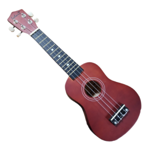 UKULELE SOPRANO CON FUNDA COLOR CAFE (Solar)