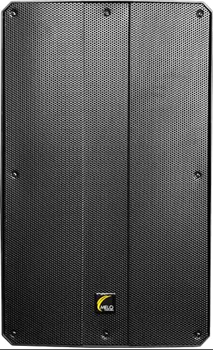 BAFLE AMPLIFICADO 600W (Melo) 12?