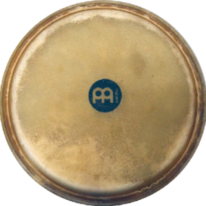 Percusión