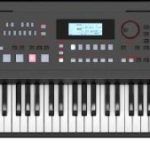 TECLADO ARREGLISTA 61 TECLAS EX50 (Roland)