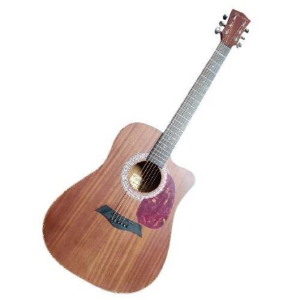 GUITARRA ACUSTICA (Infinity)