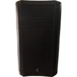 BAFLE PROFESIONAL ACTIVO 15? CON DSP (premiata)