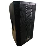 BAFLE AMPLIFICADO DE 10 PULGADAS (Soundking)