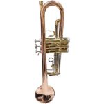 TROMPETA DE EMBOLOS (alde audio)