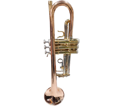 TROMPETA DE EMBOLOS (alde audio)