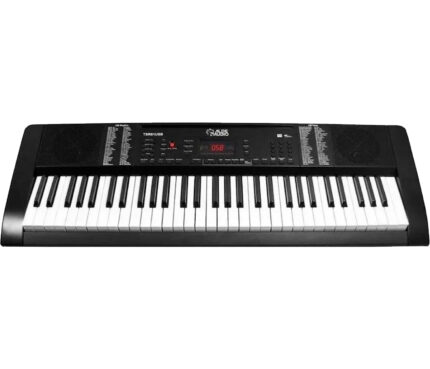 TECLADO DE 61 TECLAS (alde audio)