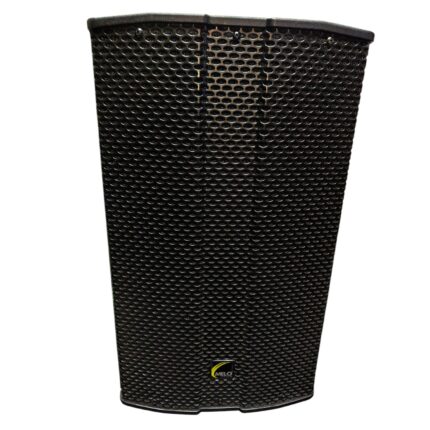 BAFLE AMPLIFICADO (Melo) 350W RMS XM10B